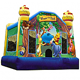 Winnie The Pooh Bouncer